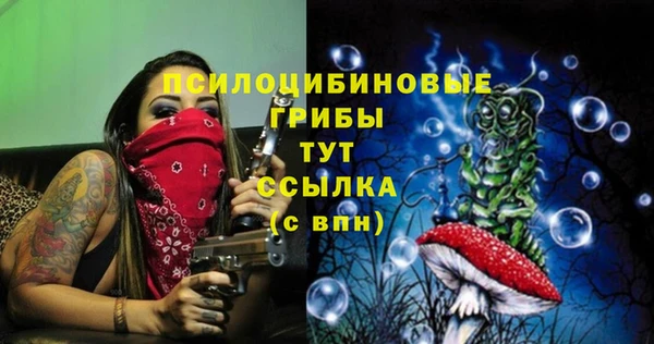 ECSTASY Сатка